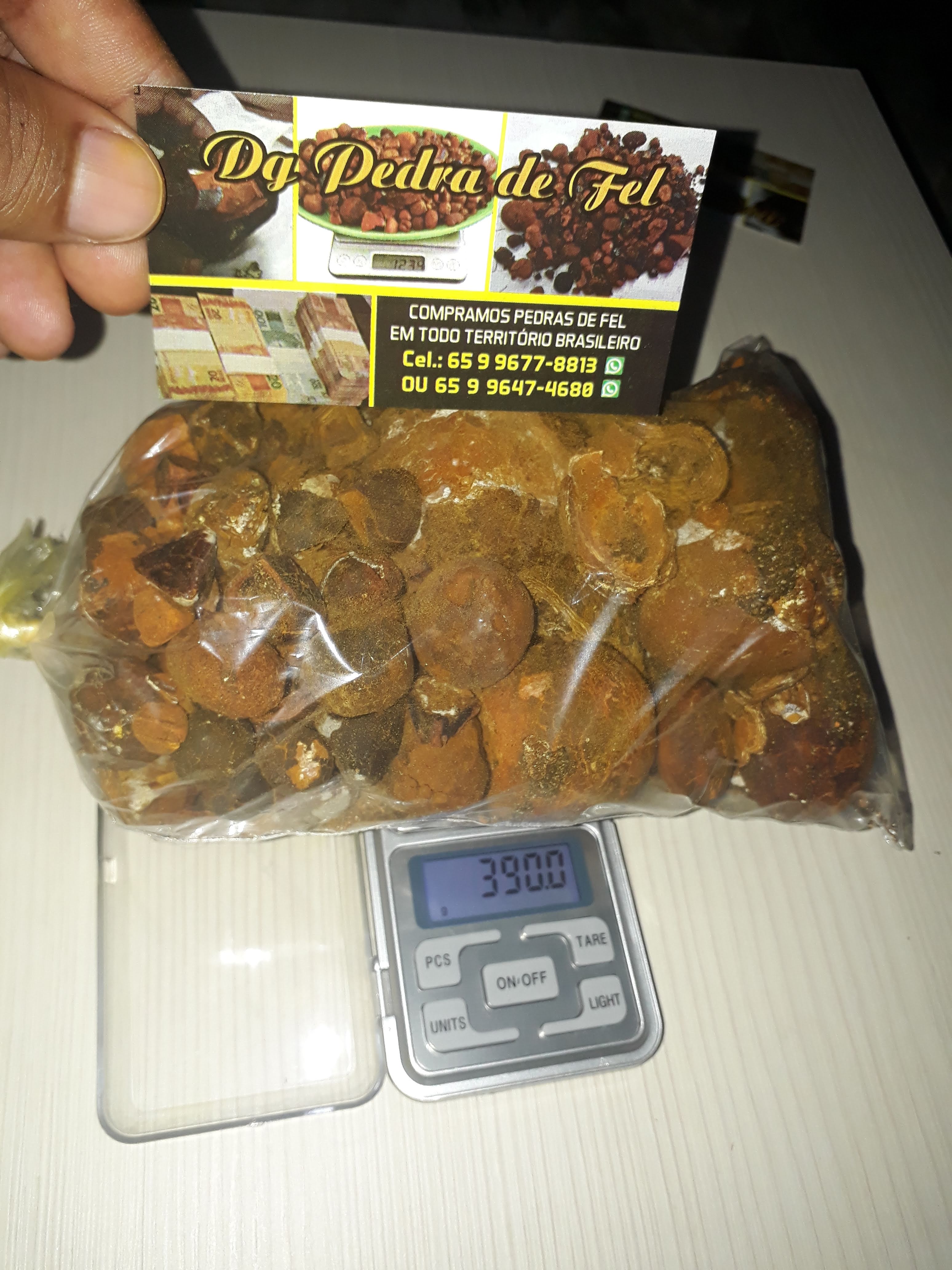 Images Dg pedras de fel bovinos