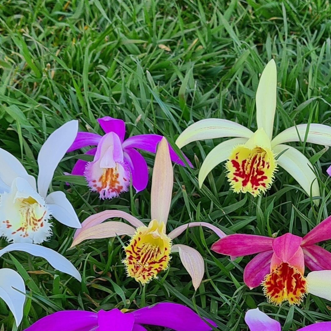 Bilder Gartenwerkstatt Schreiner, Inhaberin Sabine Schreiner