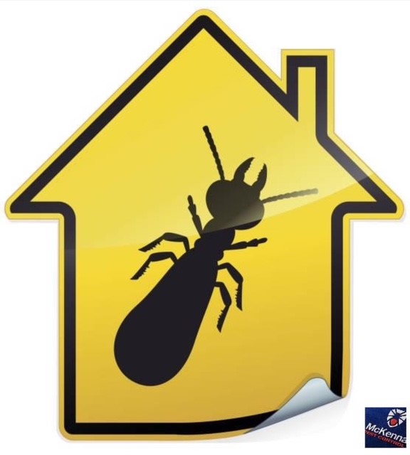Images McKenna Pest Control (Qld) Pty Ltd