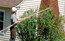 Images Williams A-1 Expert Tree Service