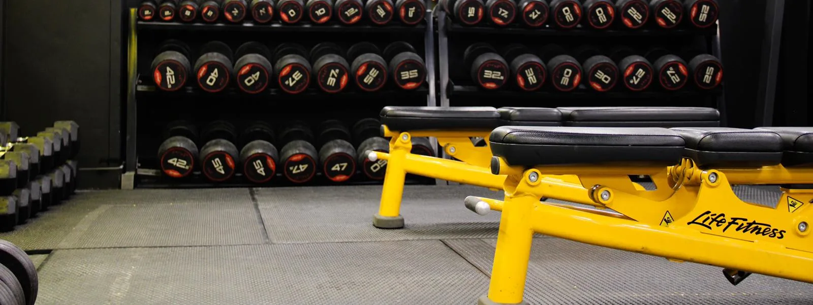 Images Ascend Gym Ltd