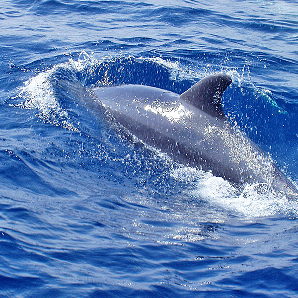 ADIWA Nautic GmbH, Schulweg 2 in Ottoberg