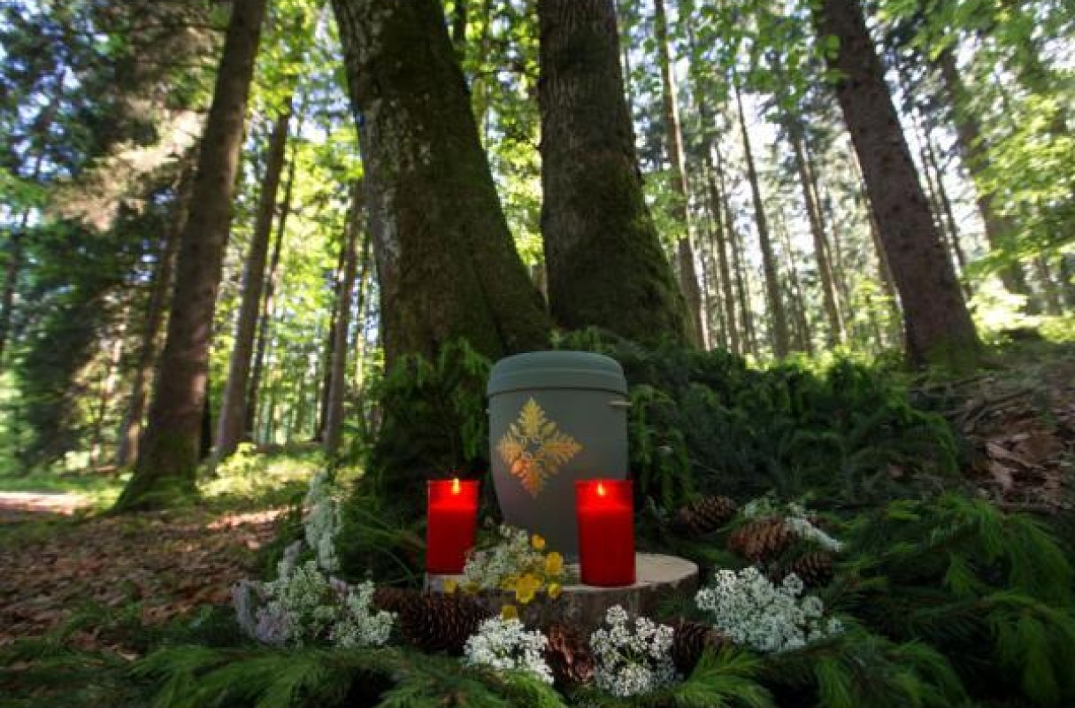 Bestattung Himmelblau GmbH, Billrothstraße 16/Nähe U6 Nußdorfer Straße in Wien