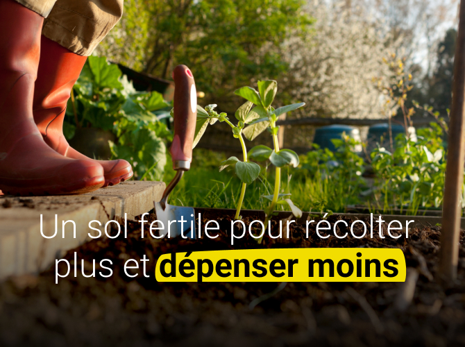 Un sol fertile pour récolter plus et dépenser moins