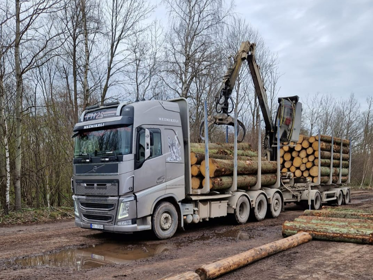 Mežmikeļi kokvedējs ar nostiprinātu baļķu kravu uz meža ceļa.