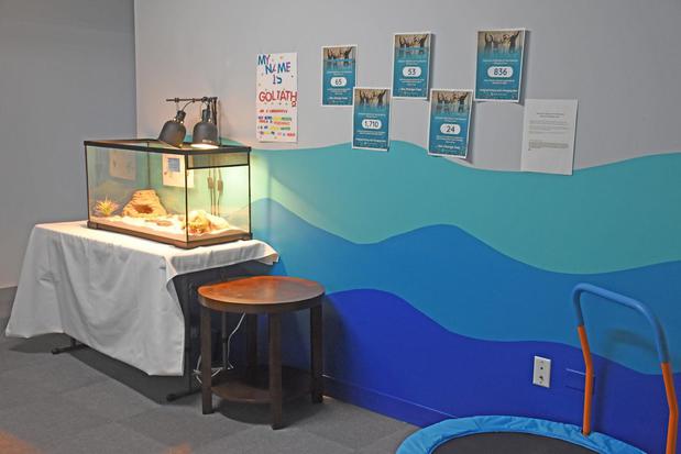 Images Caravel Autism Health