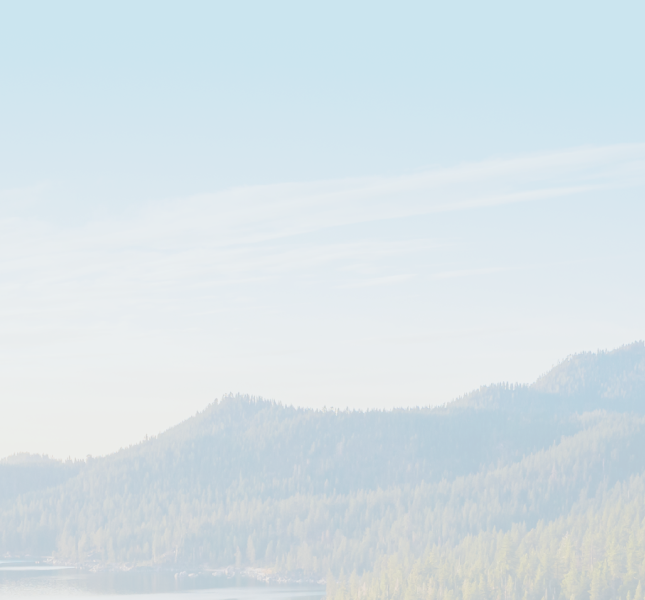 Forested mountains by the water on a sunny day.