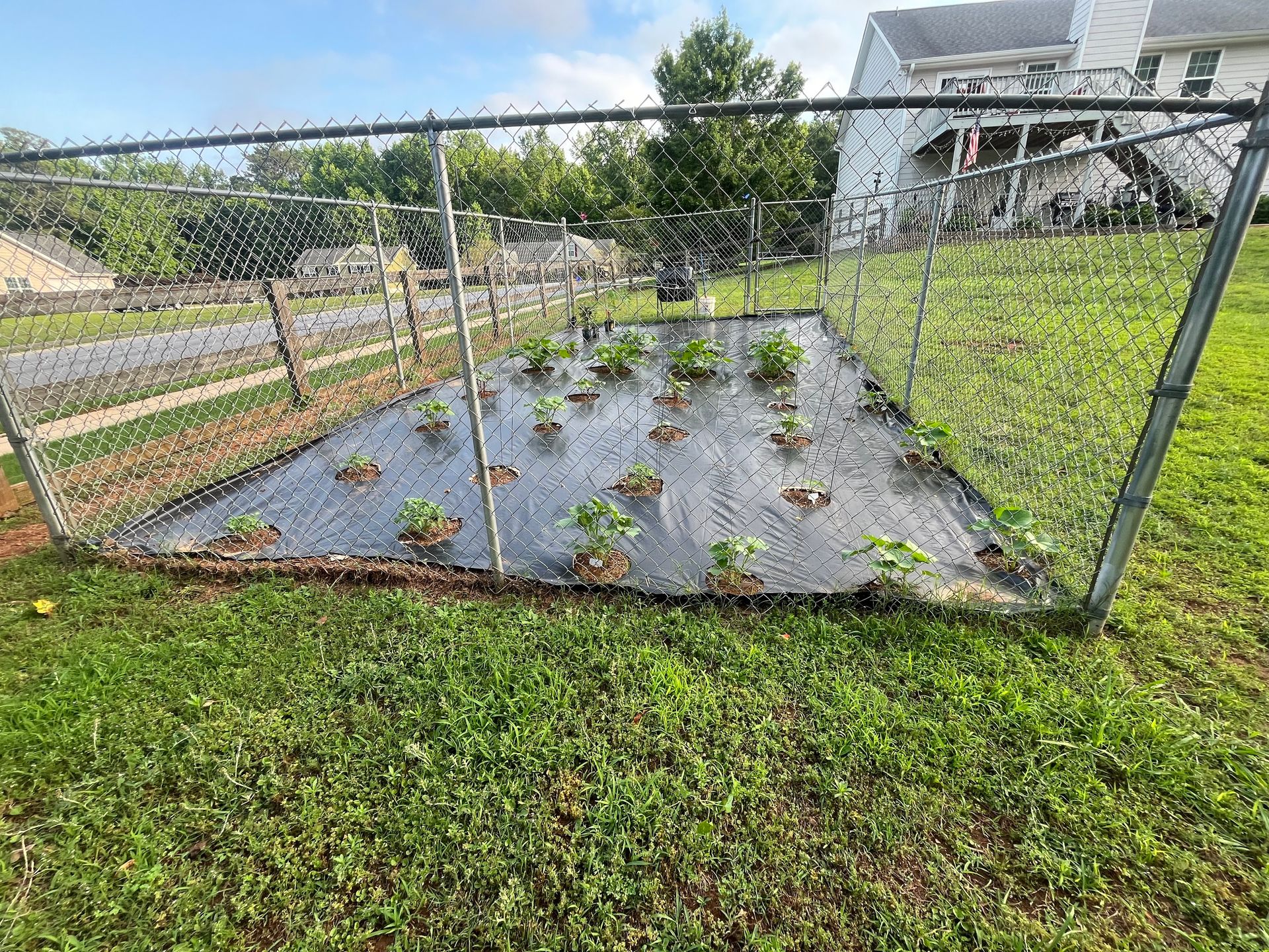 Green Scene Landscape, LLC Image