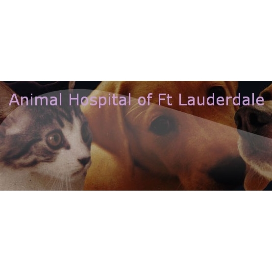 Animal Hospital Of Fort Lauderdale Logo