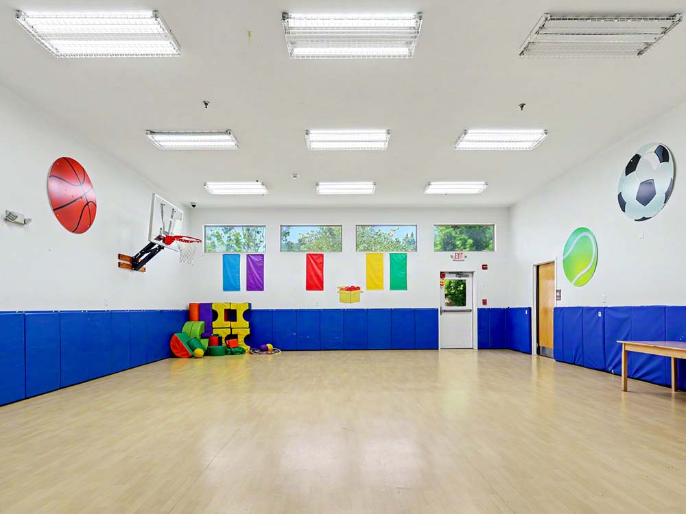 Gymnasium/Play Area