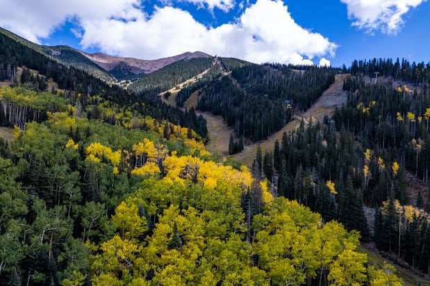 Images voco Flagstaff by IHG