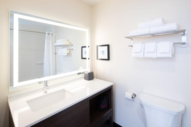 Images Holiday Inn & Suites Detroit - Troy by IHG