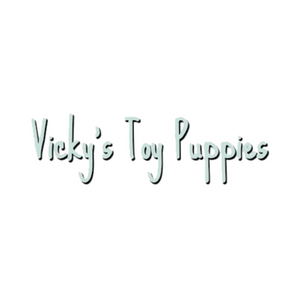 Vicky's Toy Puppies