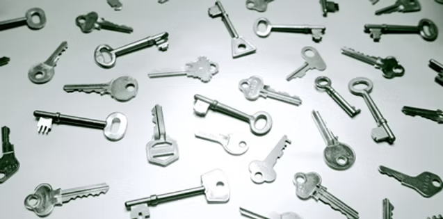 Images Stefano Savi Fabbro Roma