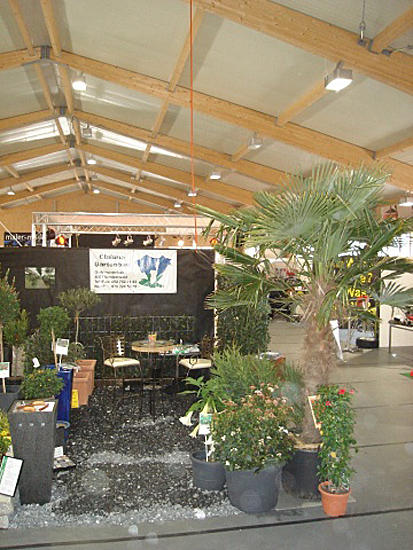 Clalüna Gartenbau GmbH, Scheibenstrasse 6 in Vordemwald