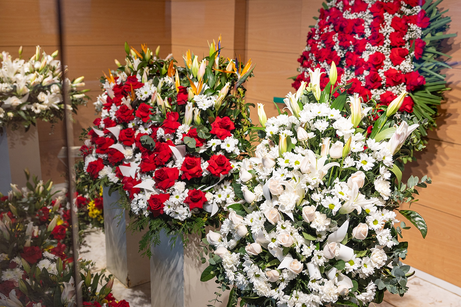 Tanatori &Agrave;ltima Ronda de Dalt 13