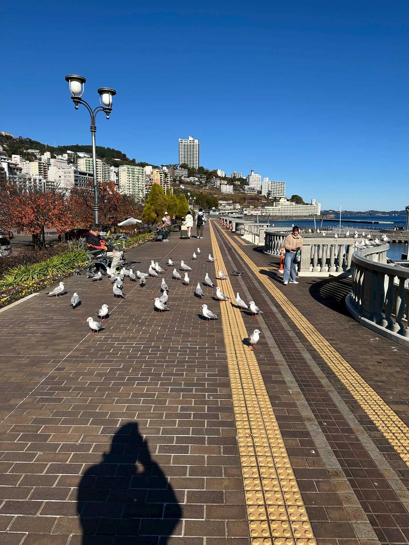 Images 熱海 天空のホテル 夢寿庵