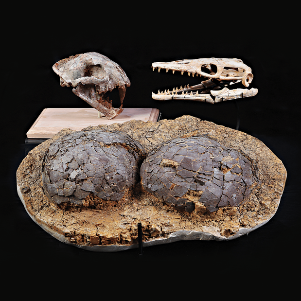 Images Lamina Jewelry Store