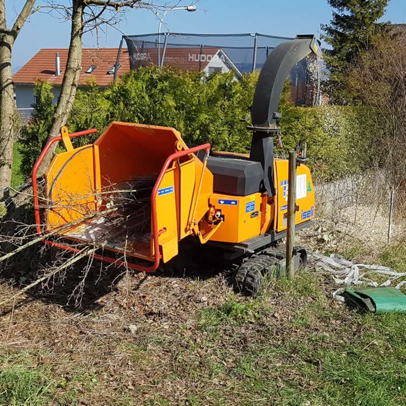Bilder BRÜHWILER-GARTENBAU, BAUMPFLEGE