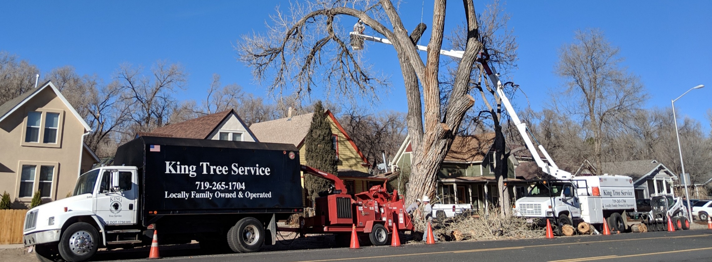 King Tree Service Photo