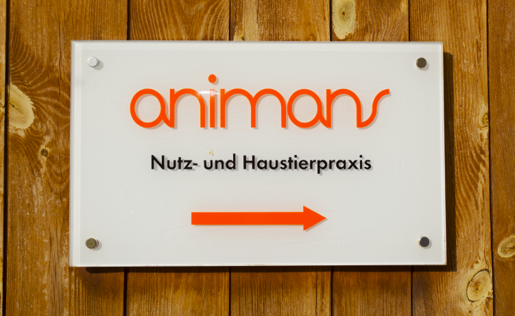 Bilder animans GmbH
