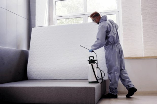 Images Bug Boss Termite and Pest Control