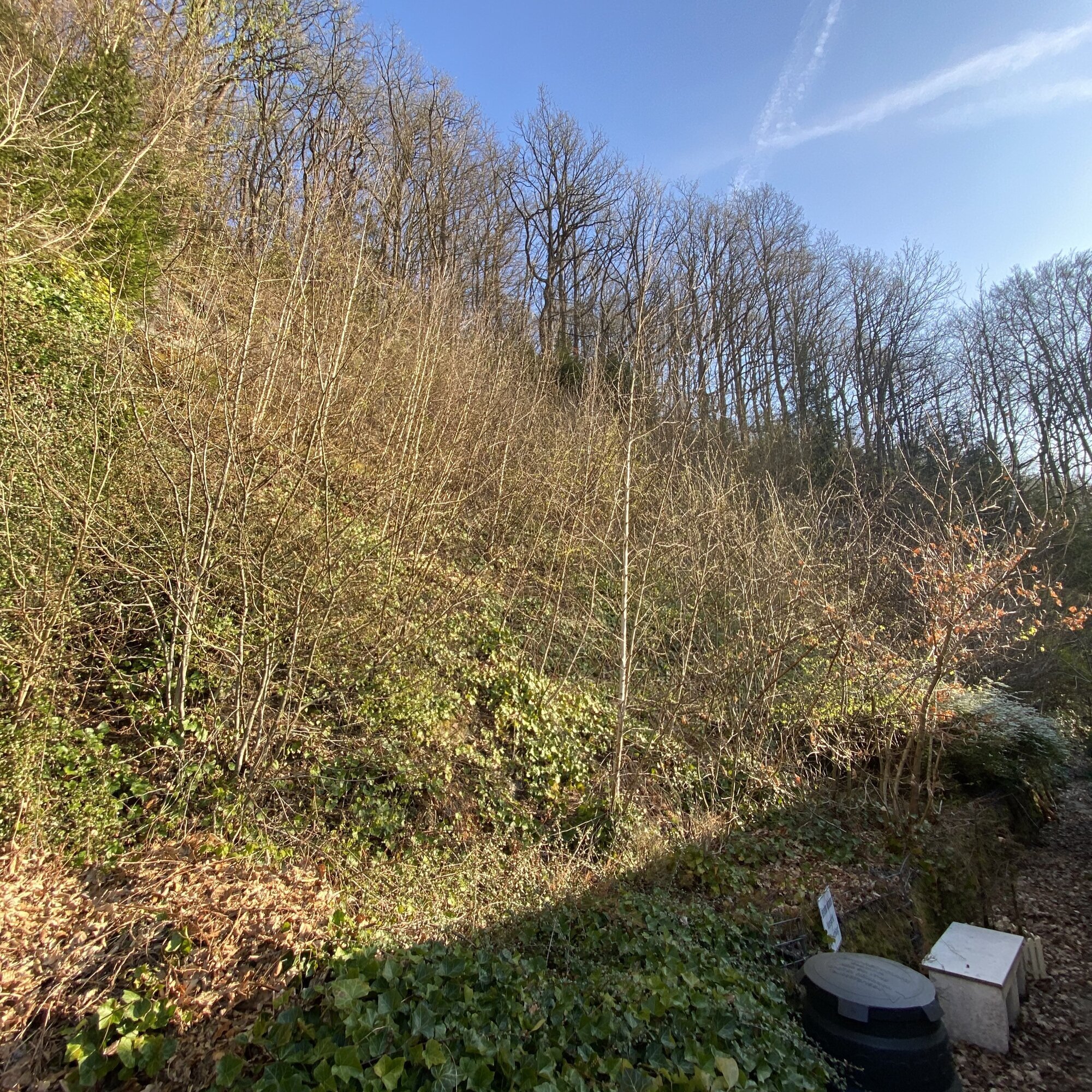 Baumdienst Behan, Im Winkel 22 in Schalksmühle