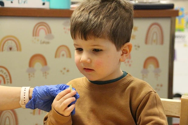 Images The Appletree School