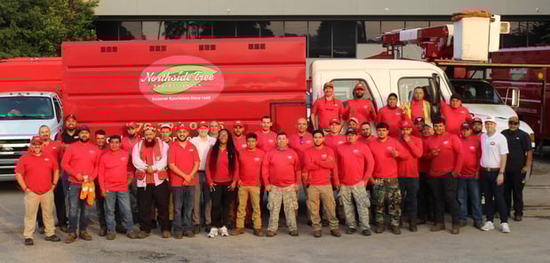 Images Northside Tree Professionals