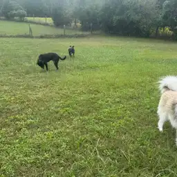 Sniffspot Yolistone Image