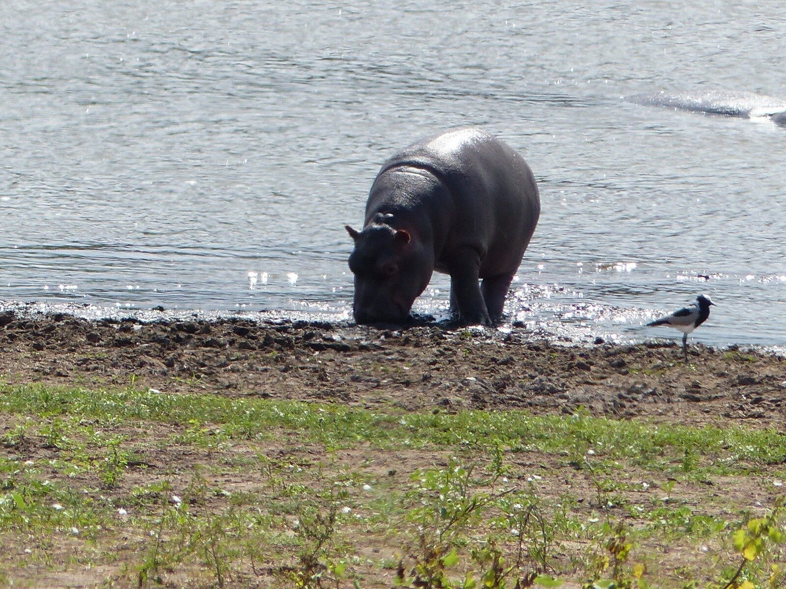 Images Knap Tours