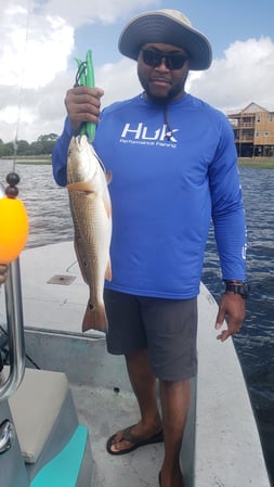 Images E-6 INSHORE FISHING ADVENTURES, LLC