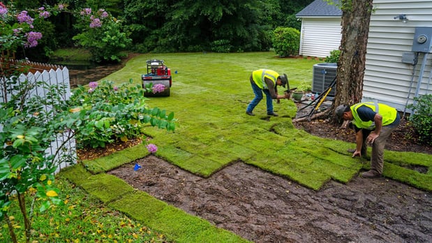 Images Preferred Sod