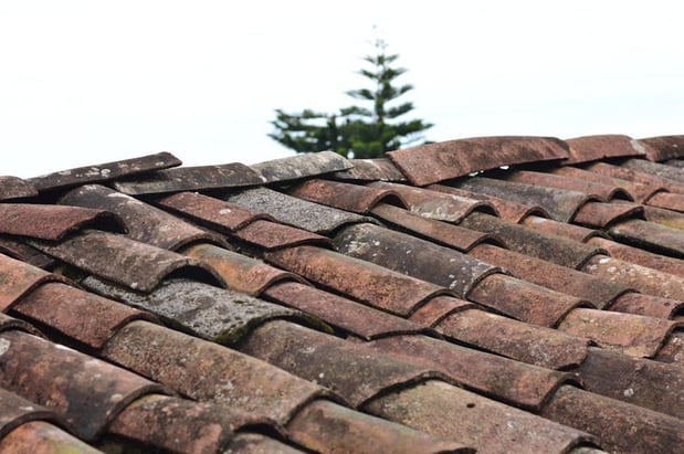 Images The Roof Doctor