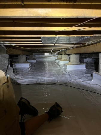 Images Midwest Mold Specialist LLC