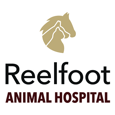 Reelfoot Animal Hospital Logo