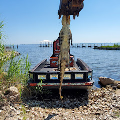 Images Bayou Bowfishing Charters & Airboat Services, LLC