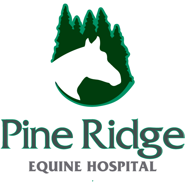 Pine Ridge Equine Hospital Logo