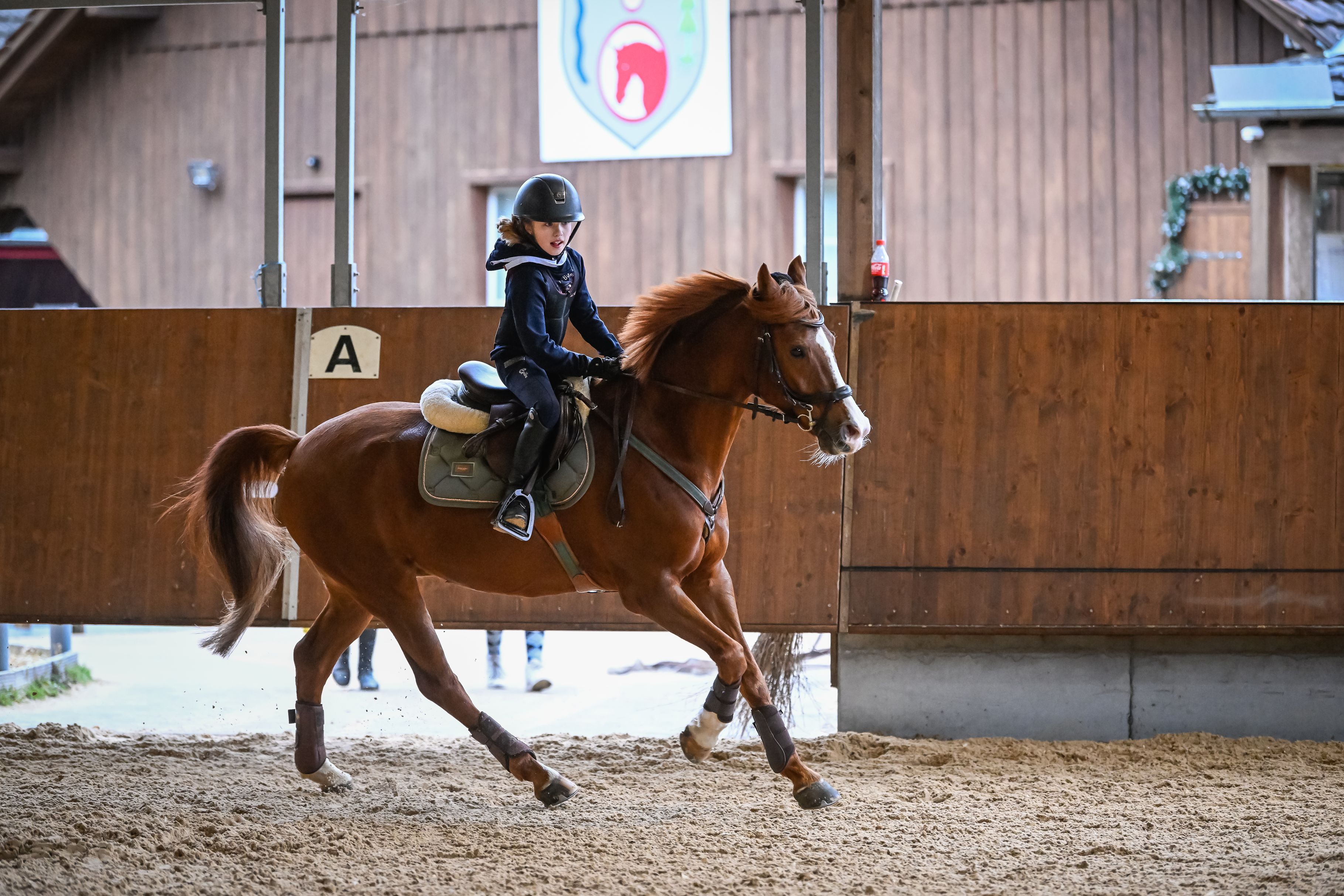 Bilder Reitsportzentrum St. Josefen AG