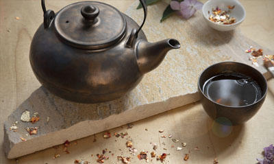 TeaLogic - Teezubehör Inh. Michaela Bendinger, Marterburg 4 -5 in Bremen