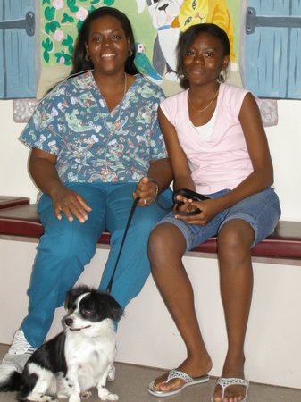 Images VCA Promenade Animal Hospital