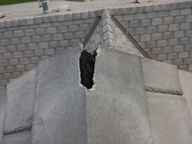 Images Omega Animal Removal Dallas