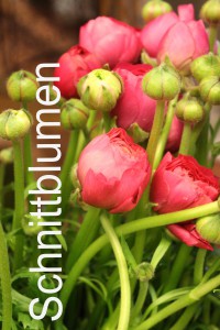 Schnittblumen - Blütenkorb München