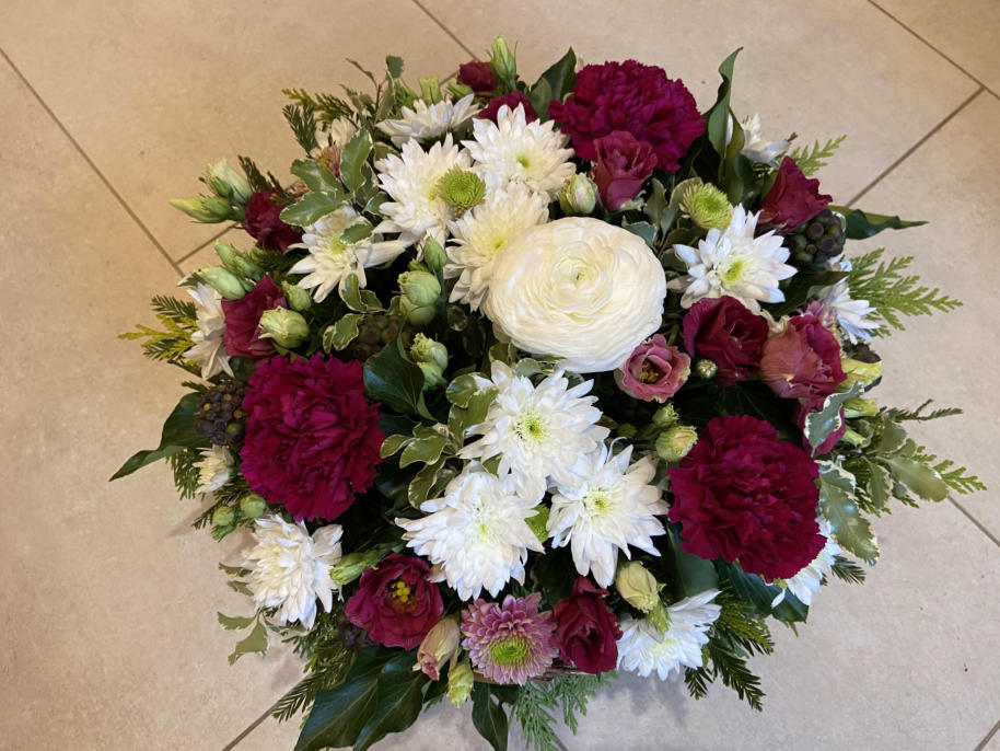 Bilder Fleurs d'Elfes