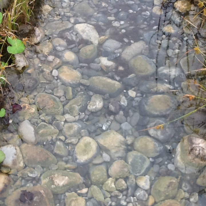 Bilder Simart Gartenbau GmbH