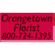 Orangetown Florist Cards & Gifts