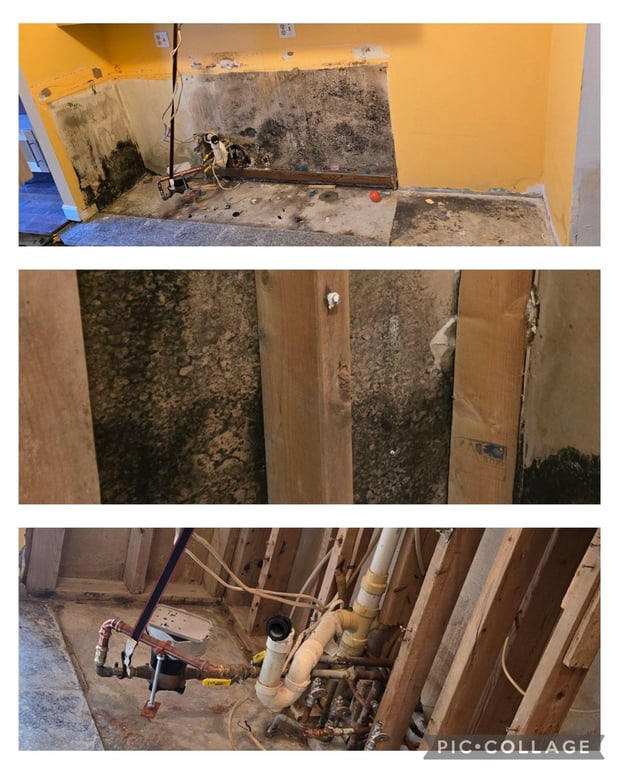Images Leal Restoration Services LLC