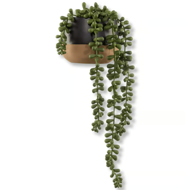 Garden Center at RONA