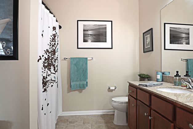 Stonegate apartment bathroom