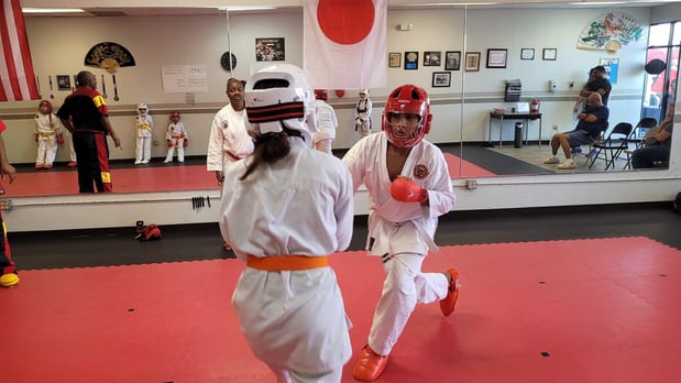 Images Jaguar Dojo